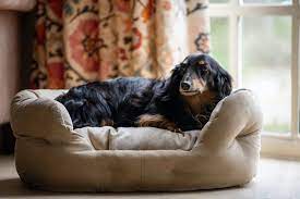Dog Beds With Bolster