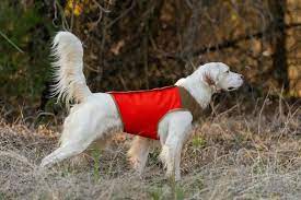 Dog Hunting Vests