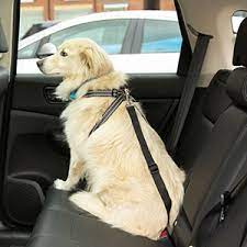 Dog Seat Belt Restraints