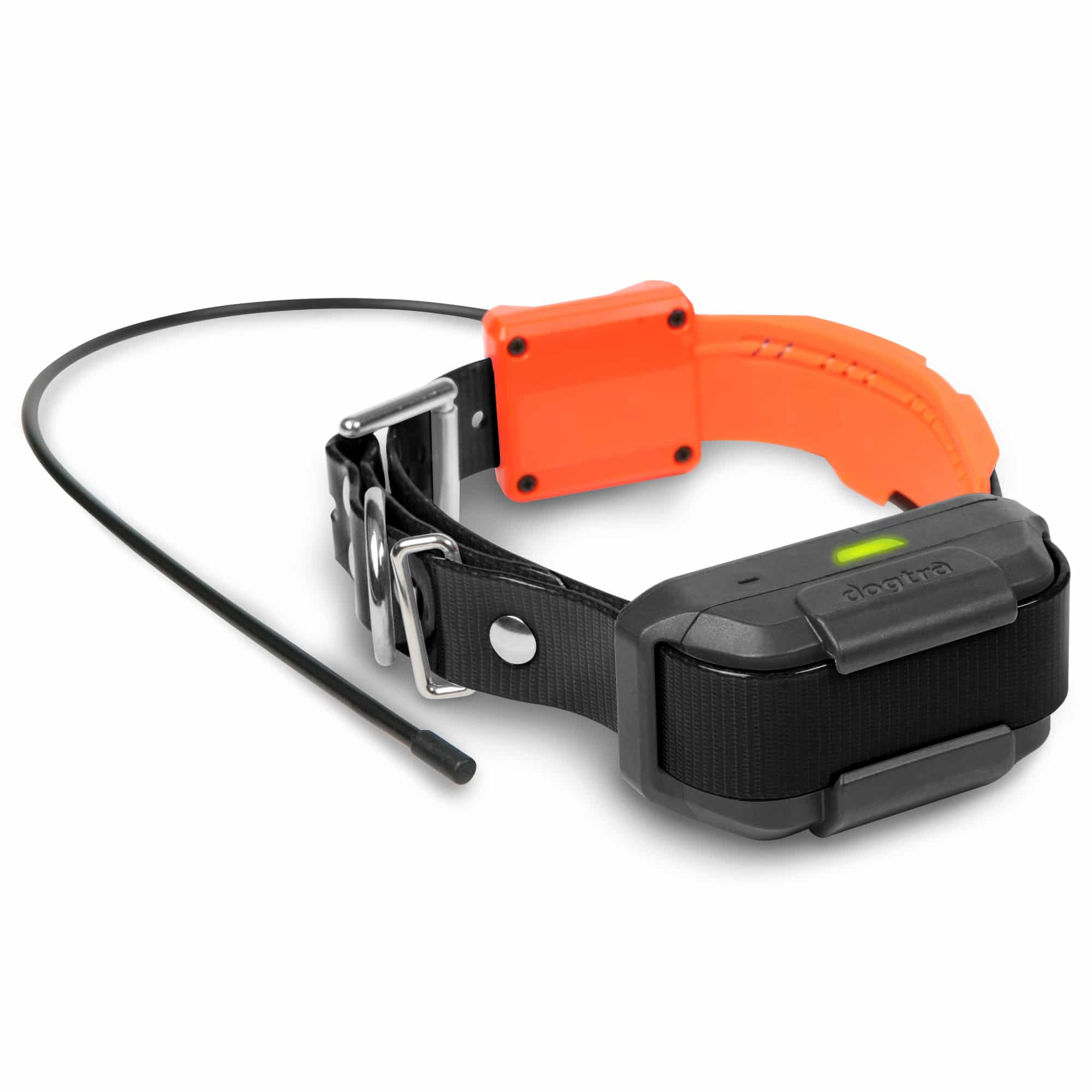Best Dog Boundary Collars Updated May 2024