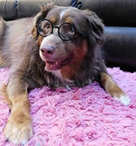 Glasses For Dog Costumes