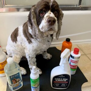 Dog Smell Removers