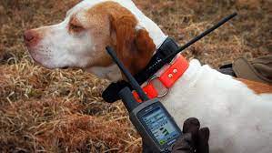 GPS Dog Collars For Hunting
