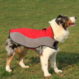 Dog Jackets For Australian Shepherds