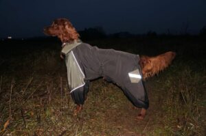 Dog Jackets For Irish Setters