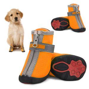 Dog Shoes For Small Dogs