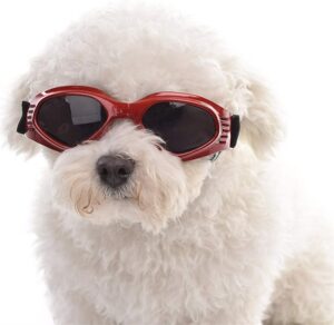 Goggles For Dog Grooming