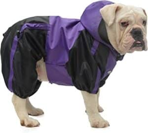 Dog Jackets For American Bulldogs