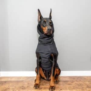 Dog Jackets For German Pinschers