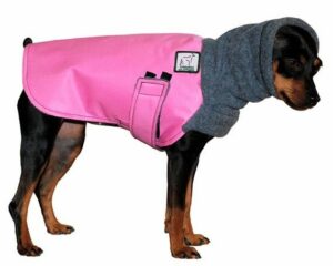 Dog Jackets For Miniature Pinschers