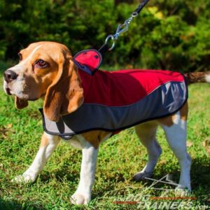 Dog Jackets For Beagles