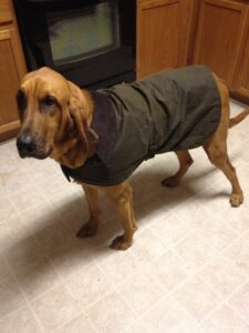 Dog Jackets For Bloodhounds