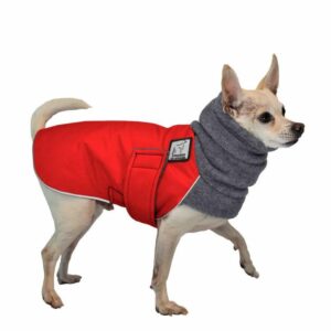 Dog Jackets For Chihuahuas