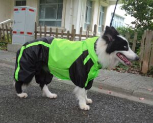 Dog Jackets For Collies