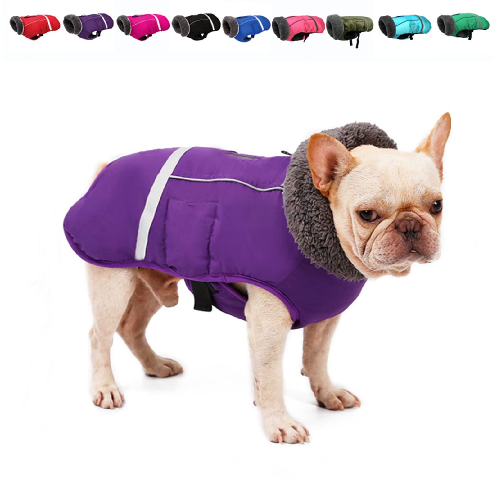 Best Dog Jackets For Cavapoos Updated September 2023