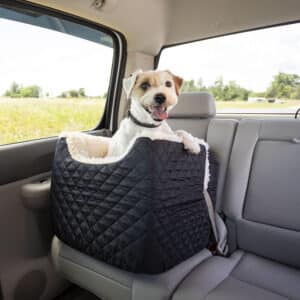 Small Dog Seat Belts