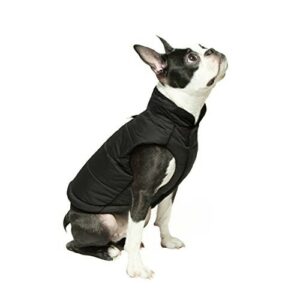 Dog Jackets For Boston Terriers