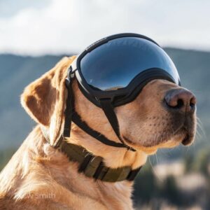 Goggles For Dogs
