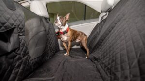 Seat Covers For Dog Hair