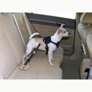 Car Restraints For Small Dogs