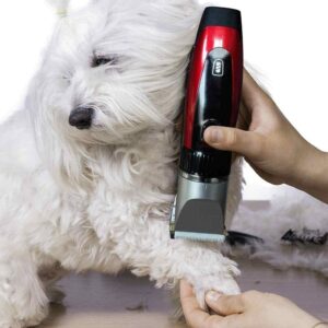Dog Clippers For Fine Hair