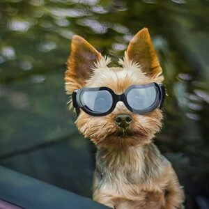 Glasses For Dogs With Cataracts