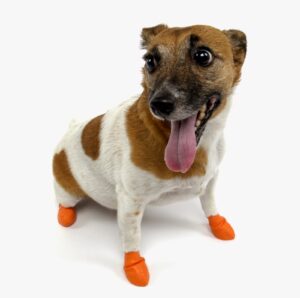 Dog Booties For Cold Weather