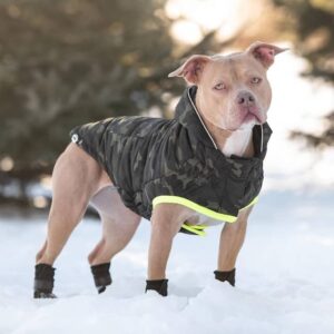 Dog Boots For Pitbulls