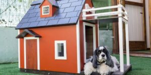 Dog Houses For Summer