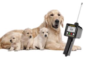 Dog Ovulation Detectors
