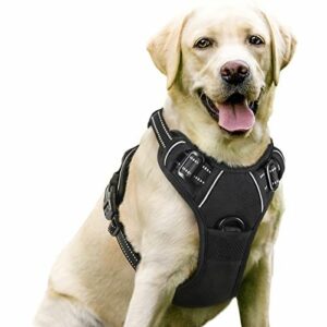 No Pull Dog Harnesses For Labradors