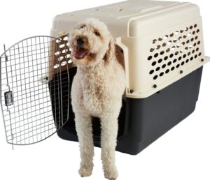 Plastic Dog Crates