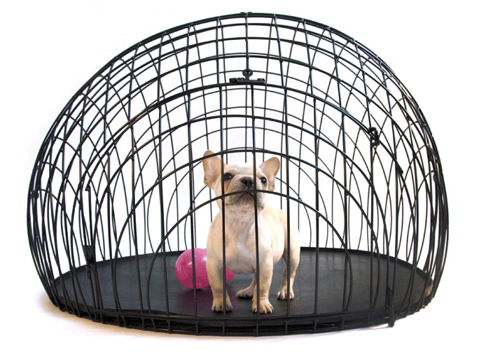 Best Crate Pads For Destructive Dogs
