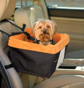 Dog Car Seat Belts