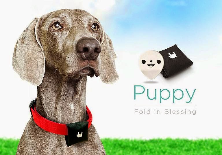 Best Dog Activity Trackers Updated May 2024