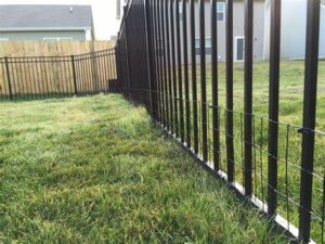 Fences For Dogs