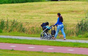 Strollers For Walking With Dogs