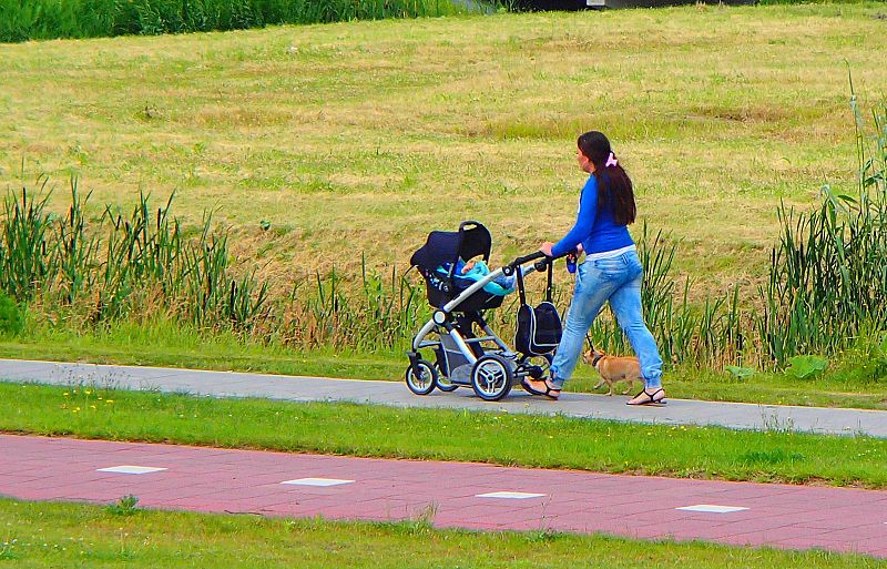 Best Strollers For Walking With Dogs Updated September 2024
