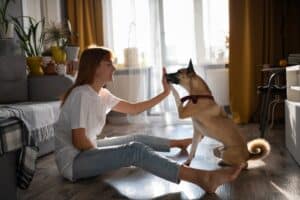 What Is The Best Way To Train A Dog At Home?