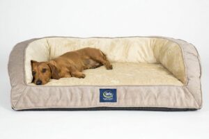Dog Beds For Hot Weather