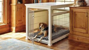 Dog Beds For Inside A Crate