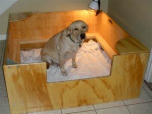 Dog Beds For Whelping