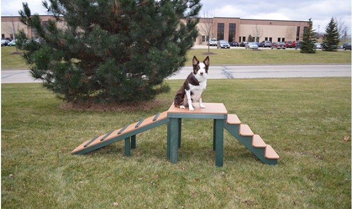 Best Dog Steps