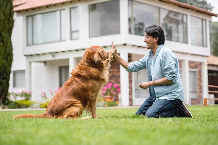 15 Tips For First Time Big Dog Owners