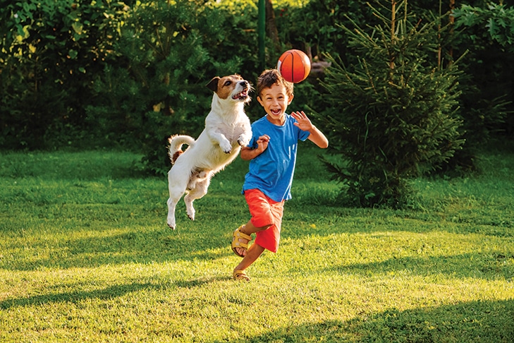 8 Fun Games to Play With Your Dog