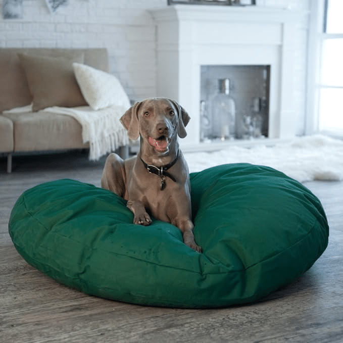 Cedar Dog Beds